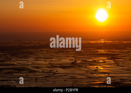 Alba sulle risaie allagate nel Delta del Ebro, Catalogna, Spagna Foto Stock