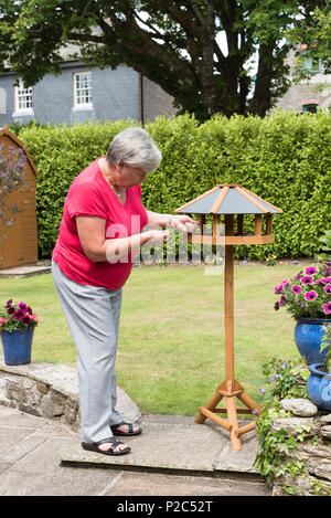 Donna immissione alimenti per uccelli su un nuovo legno Bird Feeder in un paese giardino. South Devon Regno Unito Foto Stock