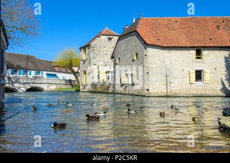 Francia, Cote-d'Or, Beze, il fiume a Beze Foto Stock