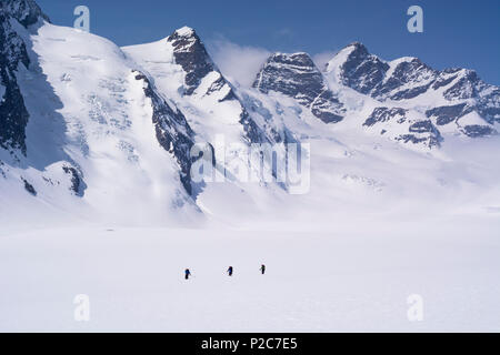 Tre sciatori backcountry sulla vasta pianura glaciale di Konkordiaplatz o Concordia, con il vertice della Jungfrau in backgr Foto Stock