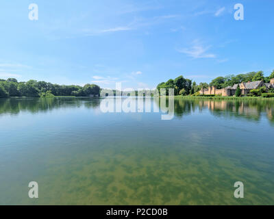 La Newstead, Inghilterra - 10 Giugno 2018: nella motivazione di Newstead Abbey anatre nuotare sul lago. Sulla riva lontana è un forte. Le acque torbide del lak Foto Stock