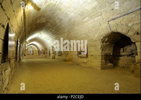 Francia, Aisne, Castello di Coucy Auffrique, Castello, rimane e le rovine del castello distrutto dai tedeschi nel 1917, la cantina Foto Stock