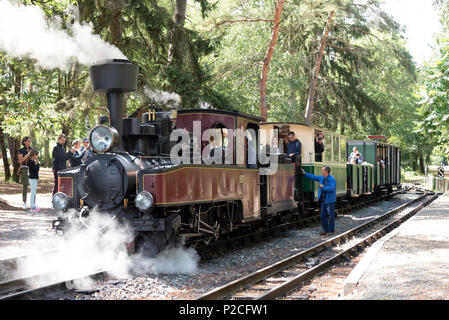 Uno dei treni a vapore sulla ferrovia a scartamento ridotto a Rille nella regione Pays de la Loire di Francia Foto Stock