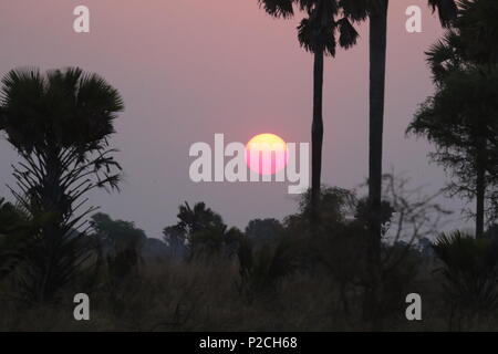 Punti salienti della Tanzania Foto Stock