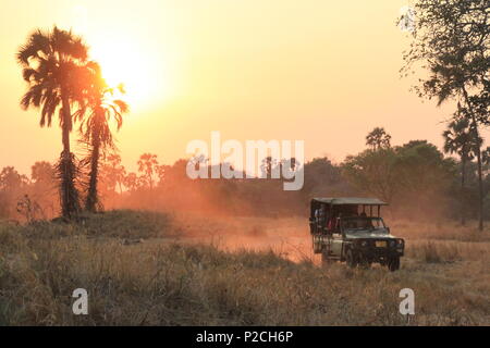 Punti salienti della Tanzania Foto Stock