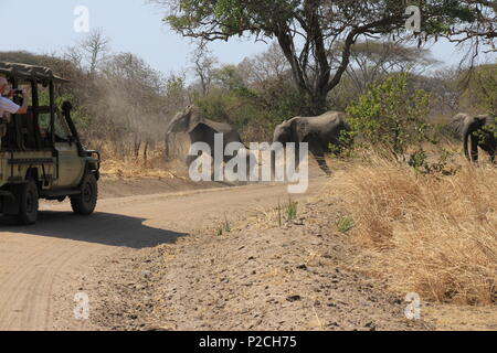 Punti salienti della Tanzania Foto Stock