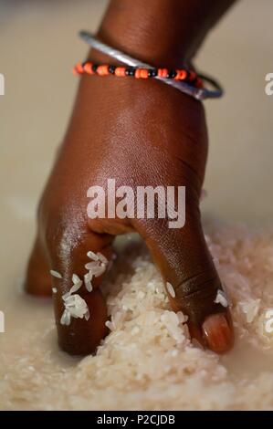 Il Senegal, la preparazione di thiep bou dien (riso con pesce) in un villaggio Peuhl Foto Stock