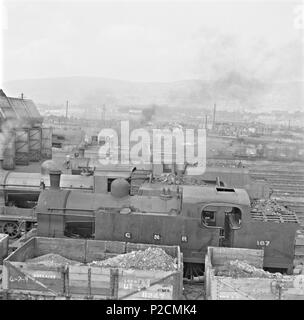 . Per iniziare la settimana abbiamo un O'Dea shot da Co. Antrim a caldo fino a noi in un freddo e umido luglio giorno! Grazie a [/foto/gnmcauley/ Niall McAuley] per la posizione e le sue note sulla cresta che può essere visto attraverso la finestra del terzo motore - vedere commento qui sotto. Si potrebbe essere come uno sguardo a questo post molto interessante nel nostro blog www.nli.ie/blog/ segreti in fibre: mezzatinta stampe e Dublino il commercio di carta nel XVIII secolo dal dottor Neassa Doherty (Volunteer NLI Stampe e Disegni Dept., 2012 & PhD Graduate, NUIG, 2015) & Louise O'Connor (NLI Conservazione Dept.) Fotografo: Jam Foto Stock