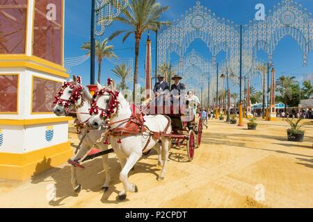 Spagna, Andalusia Cadice provincia, Jerez de la Frontera, La Feria del Caballo (la fiera dei cavalli) Foto Stock