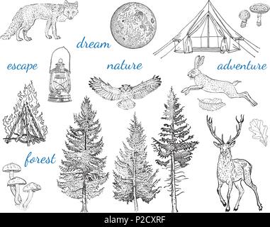 Forest adventure collezione: tenda, falò, campeggio lampada, luna, abete, fungo, fox, la lepre, il capriolo. Illustrazione Vettoriale