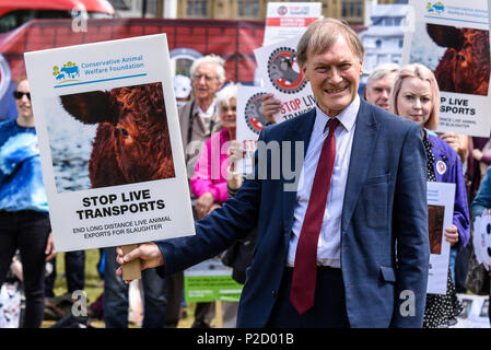 David Amess MP al raduno della campagna Stop Live Transport. Protestare, manifestare contro il trasporto a lunga distanza di bestiame. Southend West MP Foto Stock