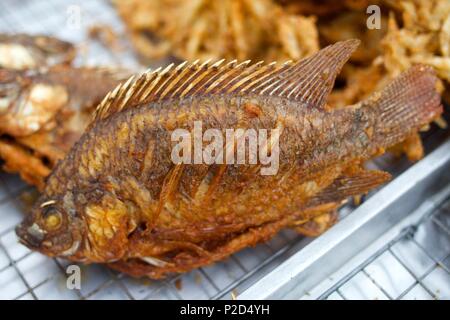 Thailandia Thailandia del Nord, la vendita di pesce fritto in strada Foto Stock