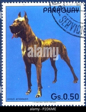 . ???????: ???????? ??? . 11 gennaio 1984. Timbro del Paraguai 23 Great-Dane-Canis lupus--familiaris Foto Stock