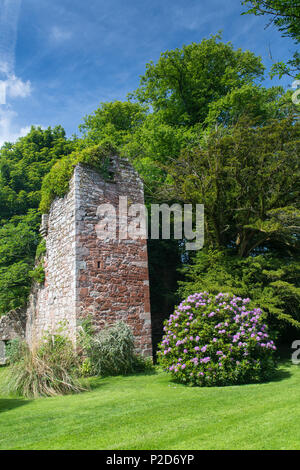 Torre Blacket in Eaglesfield, antica casa ancestrale alla campana clan dalla Scozia. Foto Stock