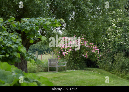 Banco in un giardino di rose vicino Rehna, Meclemburgo-Pomerania, Germania Foto Stock