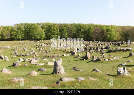 Lindholm colli denominati Lindholm Hoje in danese è un importante viking sito sepolcrale in Danimarca Foto Stock