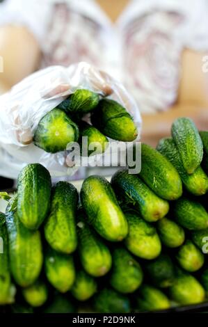 La Russia, Mosca, stile russo pickle vendite Foto Stock