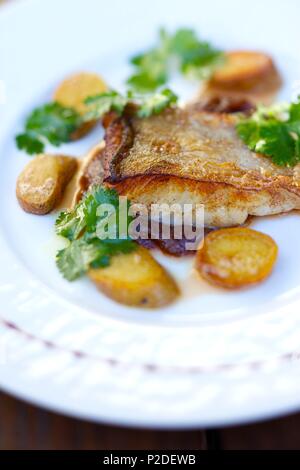 Francia, Finisterre, Parco Naturale Regionale di Armorica, Parco Marino di Iroise, DOUARNENEZ, ricetta di giallo posto rabarbaro burro di coriandolo bianco del ristorante L'insolite Foto Stock