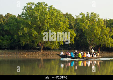 Turisti visitano la Sundarbans in barca, un sito Patrimonio Mondiale dell'UNESCO e un santuario della fauna selvatica. Il litorale più grande foresta di mangrovie del mondo. Kotka Foto Stock