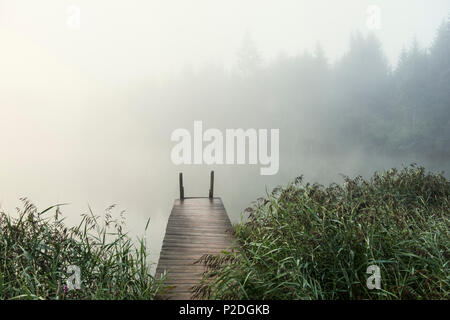 Alba sul lago Geroldsee, Wagenbruechsee, Kruen, vicino a Garmisch-Partenkirchen, Alta Baviera, Baviera, Germania Foto Stock