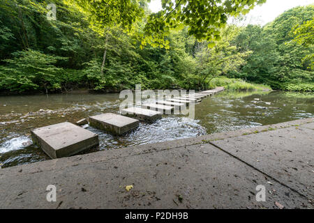 Bedlington Country Park, Bedlington, Northumberland, Inghilterra Foto Stock