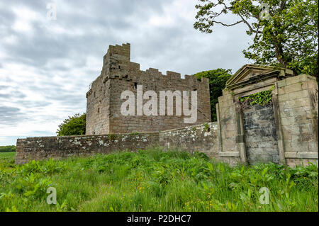 Cresswell Pele Tower, Northumberland, Inghilterra Foto Stock