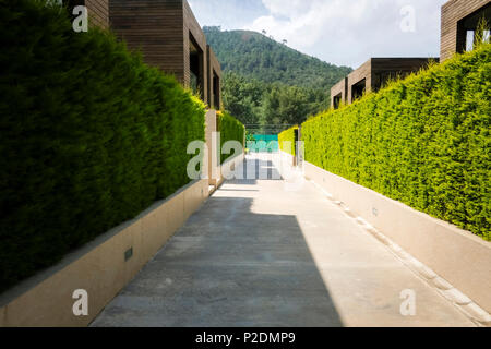 Case moderne con verde muro vegetale Foto Stock