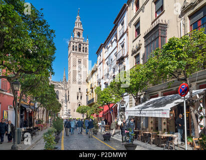 Siviglia, Spagna. Caffè in calle Mateos Gago guardando verso la torre Giralda e la Cattedrale, Sevilla, Spagna Foto Stock