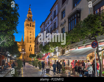 Siviglia, Spagna. Caffè in calle Mateos Gago di notte guardando verso la torre Giralda e la Cattedrale, il quartiere di Santa Cruz, Sevilla, Andalusia, Spagna Foto Stock