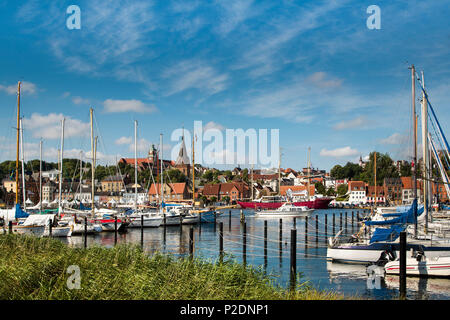 Vista verso la città vecchia, Flensburg, costa baltica, Schleswig-Holstein, Germania Foto Stock