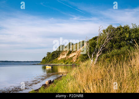 Holnis cliff, Holnis penninsula, Flensburger Foerde, costa baltica, Schleswig-Holstein, Germania Foto Stock