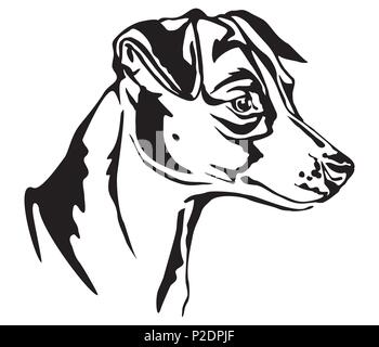 Ritratto decorativo in profilo di cane Jack Russell Terrier, vettore isolato illustrazione in colore nero su sfondo bianco Illustrazione Vettoriale