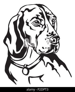 Ritratto decorativo in profilo di cane Beagle, vettore illustrazione isolato in colore nero su sfondo bianco Illustrazione Vettoriale