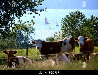 Vista del lago Starnberger vicino Ambach, Alta Baviera, Baviera, Germania Foto Stock