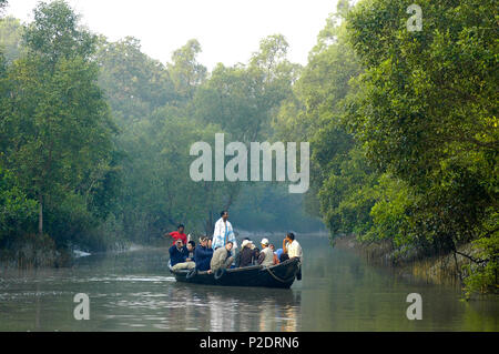 Turisti visitano la Sundarbans in barca, un sito Patrimonio Mondiale dell'UNESCO e un santuario della fauna selvatica. Il litorale più grande foresta di mangrovie del mondo. Kochi Foto Stock