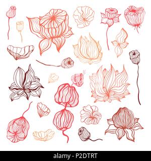 Fiore astratta. Vettore disegnati a mano illustrazione, isolato Illustrazione Vettoriale