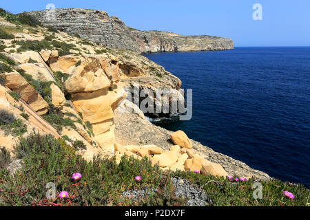 La Grotta blu mare grotte vicino ai pescatori del porto di Wied iz-Zurrieq, costa sud orientale di Malta, Foto Stock