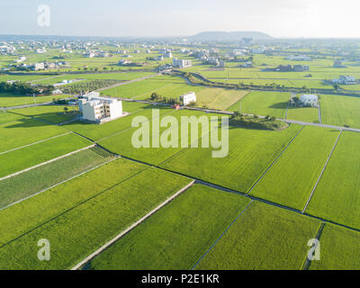 Vista aerea del bellissimo campo di riso intorno Yuanli Township, Taiwan Foto Stock