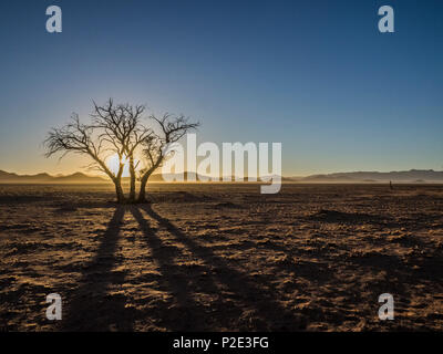 Lone Tree silhouteed contro il sunrise Foto Stock