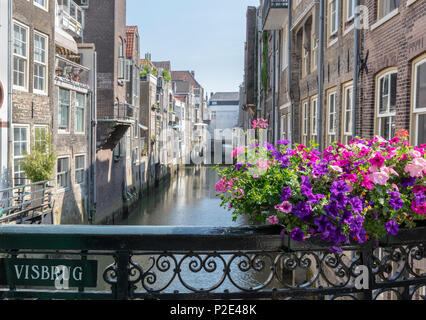 Fiori sulla balaustra di Visbrug oltre l'Wijnhaven canal, Dordrect, Paesi Bassi Foto Stock