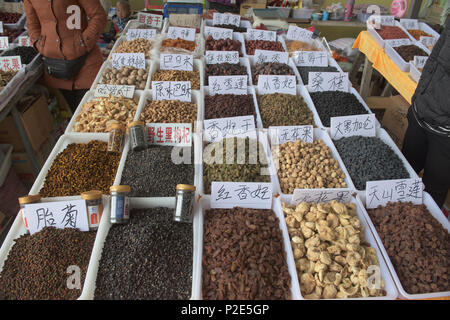 La frutta secca e i dadi nel bazaar, Buerjin, Cina Xinjiang, Cina Foto Stock