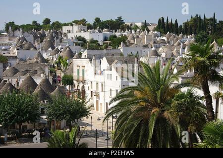 L'Italia, Puglia, Alberobello, classificato come patrimonio mondiale dall UNESCO, con vista sui tetti dei trulli, questi concal case in pietra e tetti appuntiti, nel mezzo delle palme Foto Stock