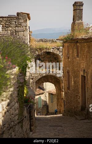 Francia, Vaucluse, Luberon, Goult, Street con case in pietra Foto Stock