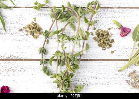 Fresco e asciutto, rosmarino e salvia erbe con fiori commestibili su un tavolo rustico top Foto Stock