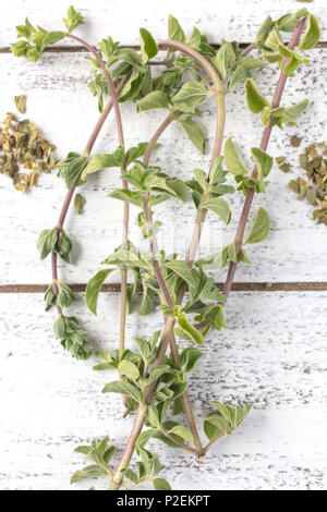 Fresco e origano secco erbe su un rustico tavolo con fiori commestibili Foto Stock