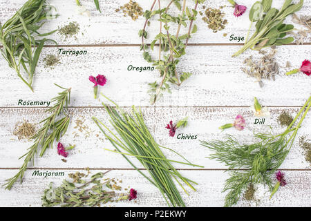Dragoncello, rosmarino, erba cipollina, salvia, maggiorana e aneto erbe su un rustico tavolo con fiori commestibili Foto Stock