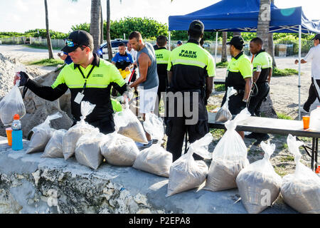 Miami Beach Florida, sacchi di sabbia gratuiti, uragano Irma, preparazione, rangers parco, volontari volontari volontari lavoratori del lavoro di volontariato, lavorando insieme servi Foto Stock