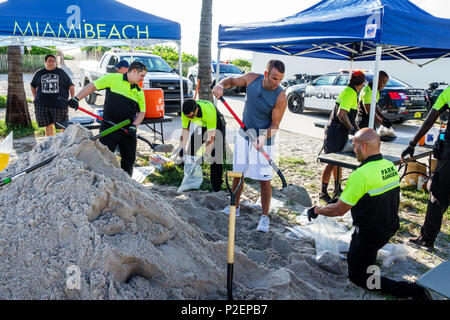 Miami Beach Florida, sacchi di sabbia gratuiti, Hurricane Irma, preparazione, rangers parco, volontari volontari volontari lavoratori del lavoro di volontariato, lavoro di squadra toget Foto Stock