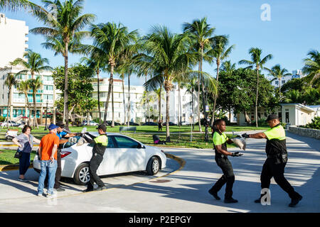 Miami Beach Florida, sacchi di sabbia gratuiti, uragano Irma, preparazione, rangers parco, volontari volontari volontari lavoratori del lavoro di volontariato, lavorando insieme servi Foto Stock