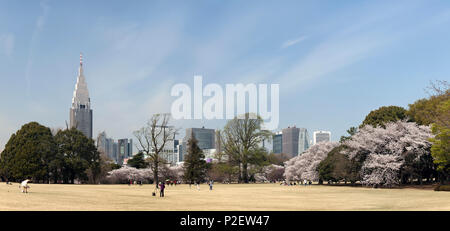 Shinjuku Skyline da Shinjuku Gyoen in primavera con la fioritura dei ciliegi, Shinjuku, Tokyo, Giappone Foto Stock